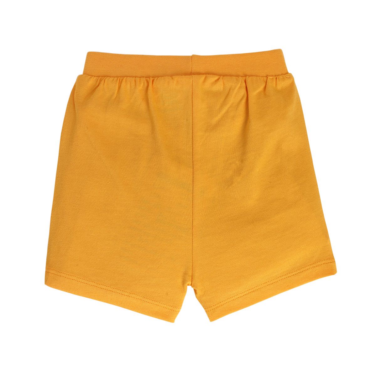 Boys Multicolor Pack Of 2 Shorts