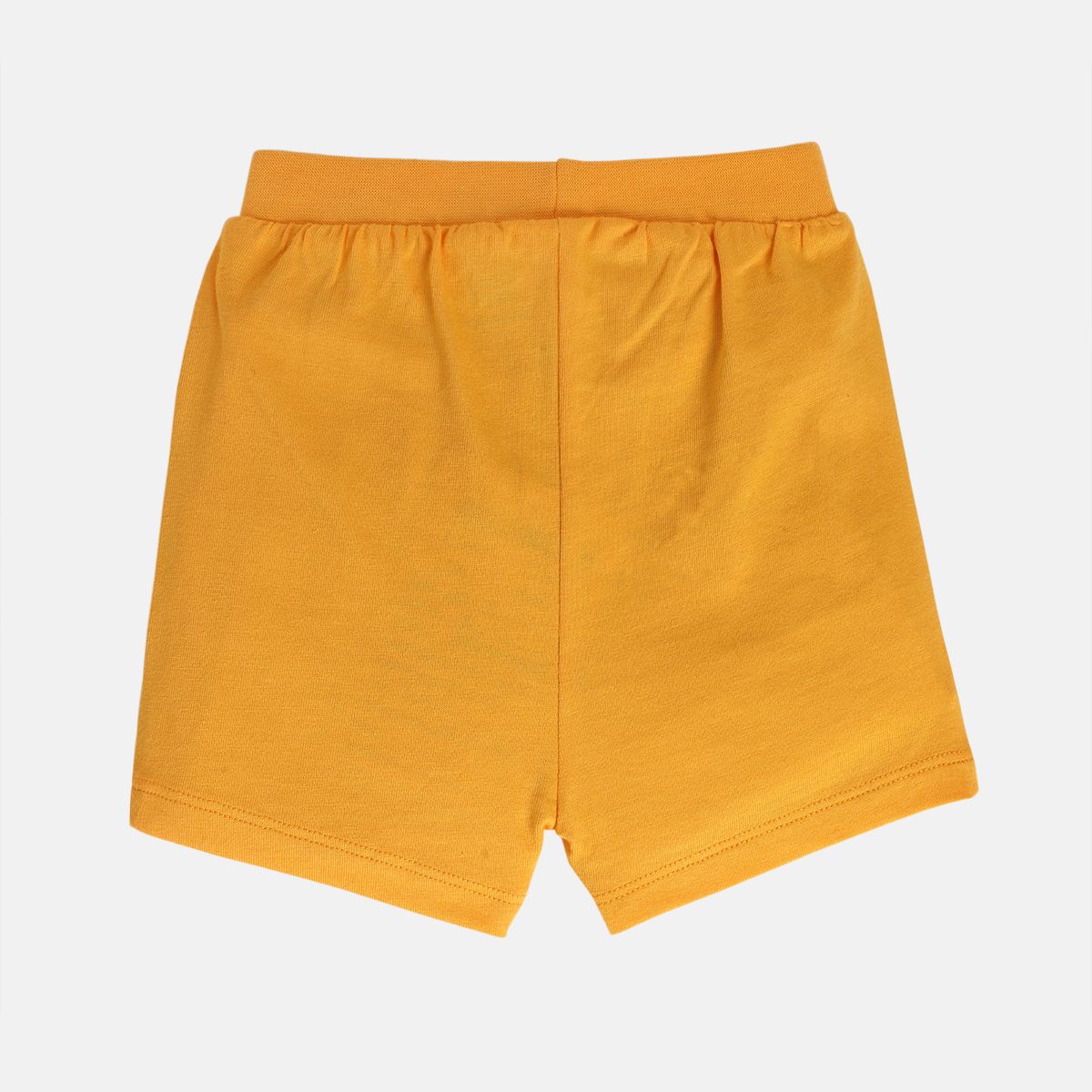 Boys Multicolor Pack Of 2 Shorts