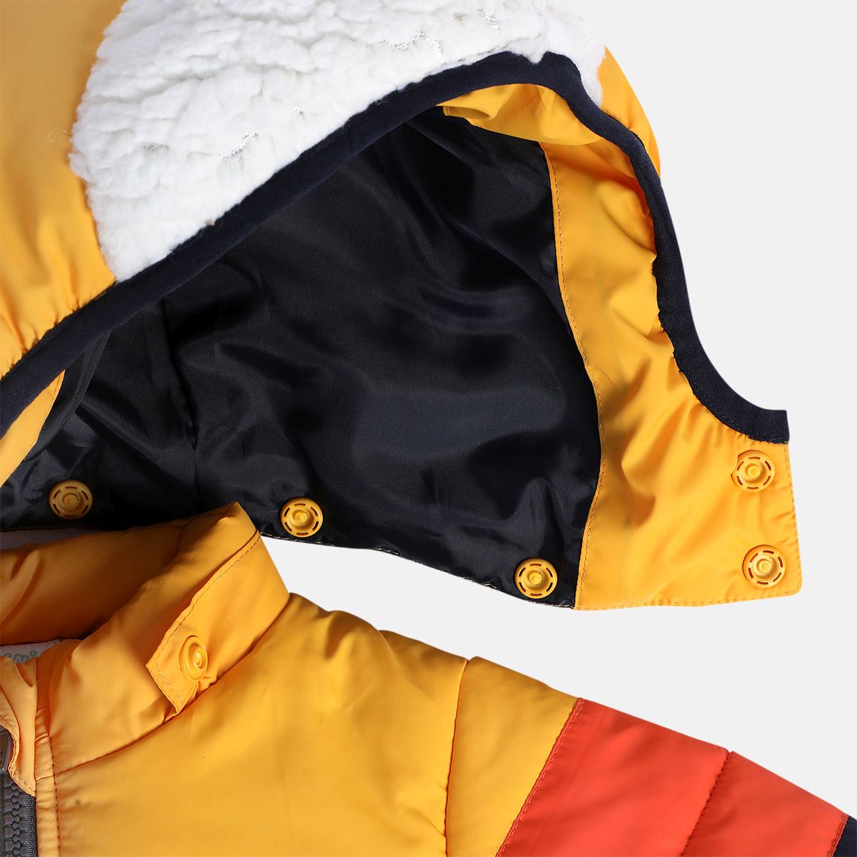 Boys Multicolor Pack Of 1 Jacket