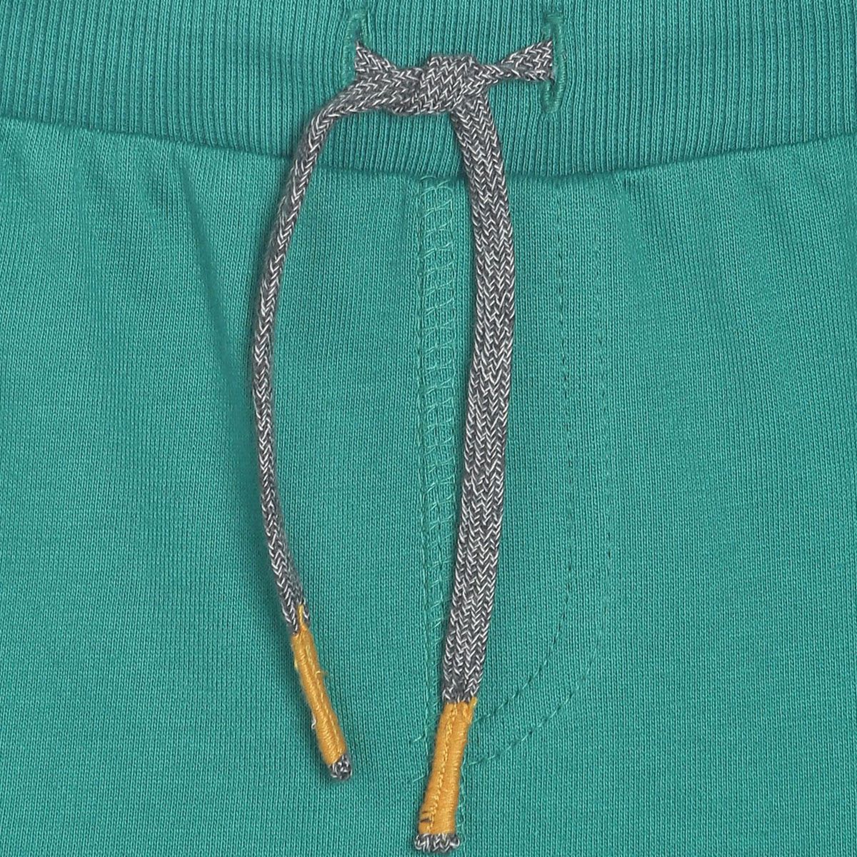 Pack of 1 shorts - green for 3-6 Months