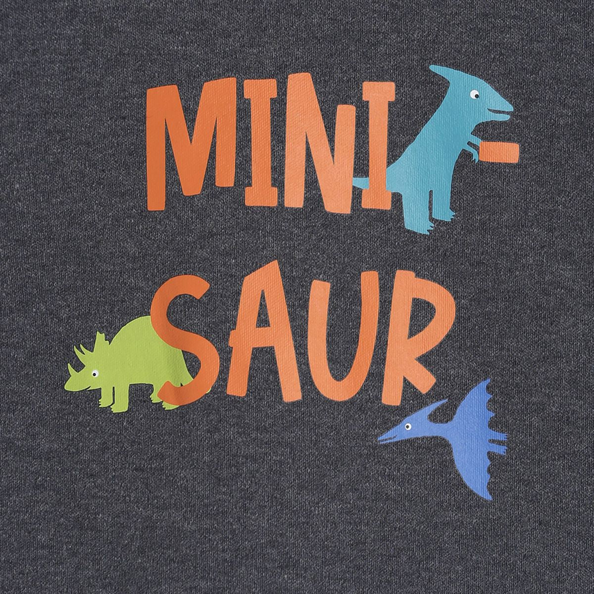 Boys Multi T-Shirt and Knit Bottom