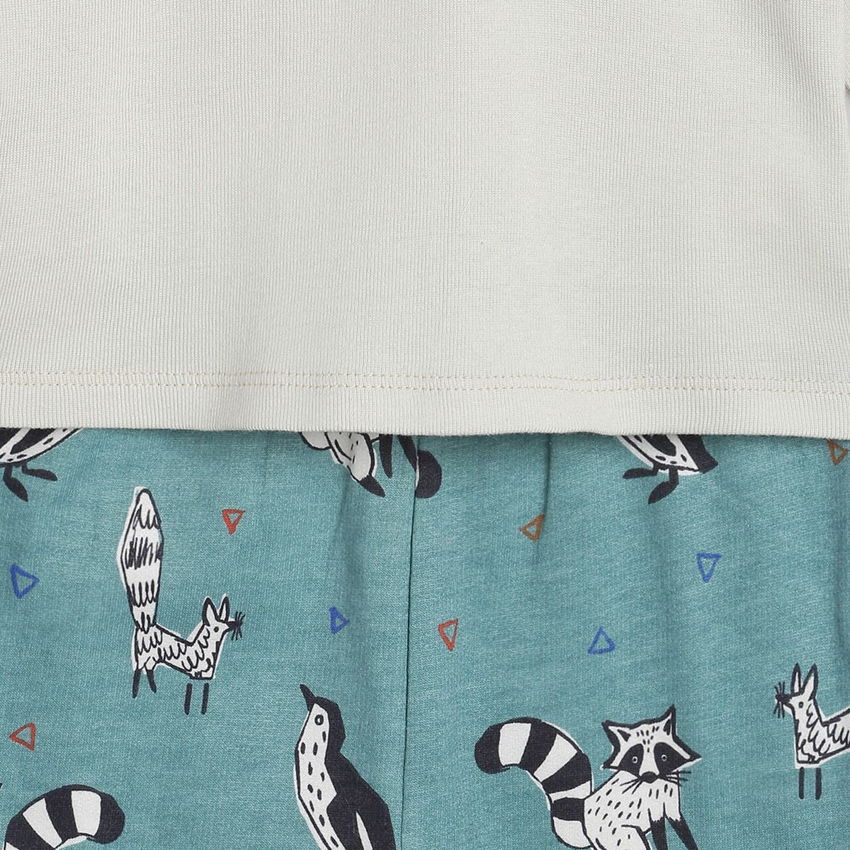 Boys Multi T-Shirt and Knit Bottom