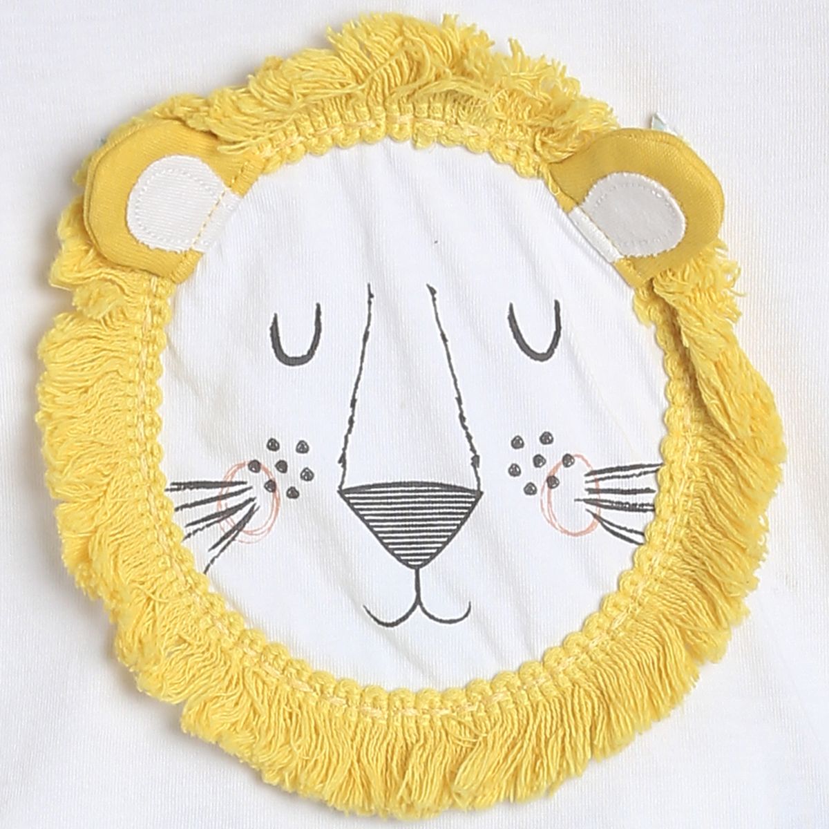 Boys Multi T-Shirt and Knit Bottom