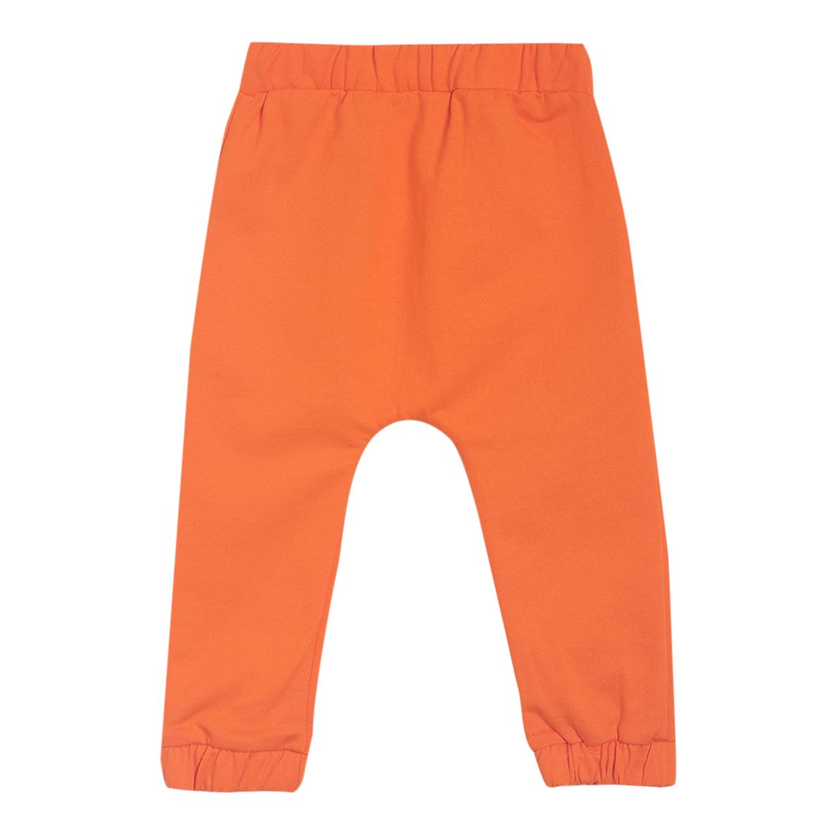Pack of 1 knit pant - orange for 3-6 Months