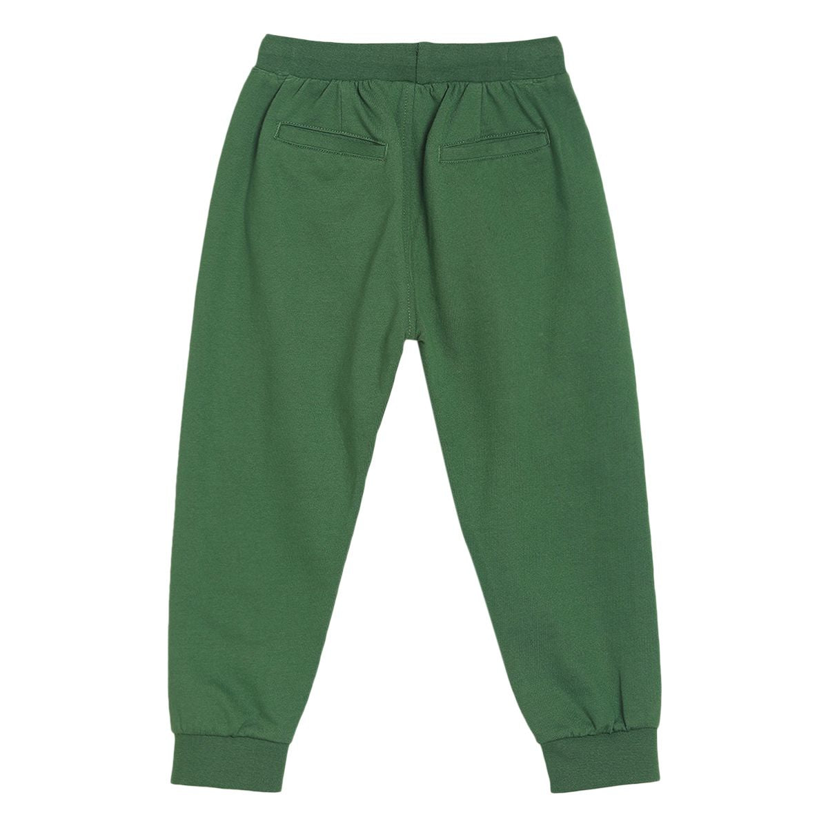Pack of 1 knit jogger - green for 3-6 Months
