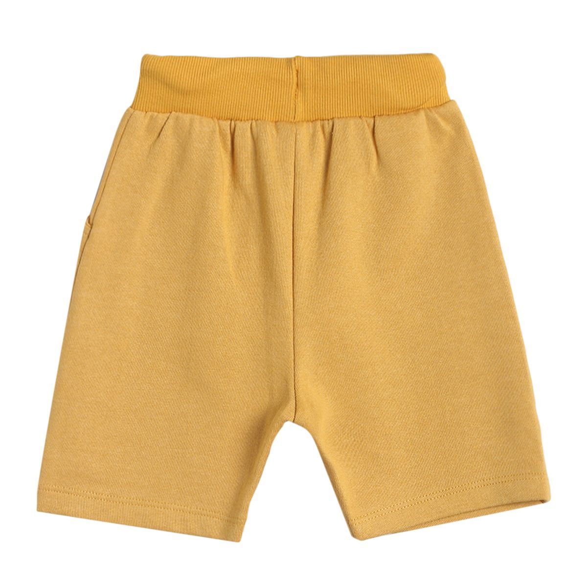 Pack of 1 knit shorts - tan for 3-6 Months