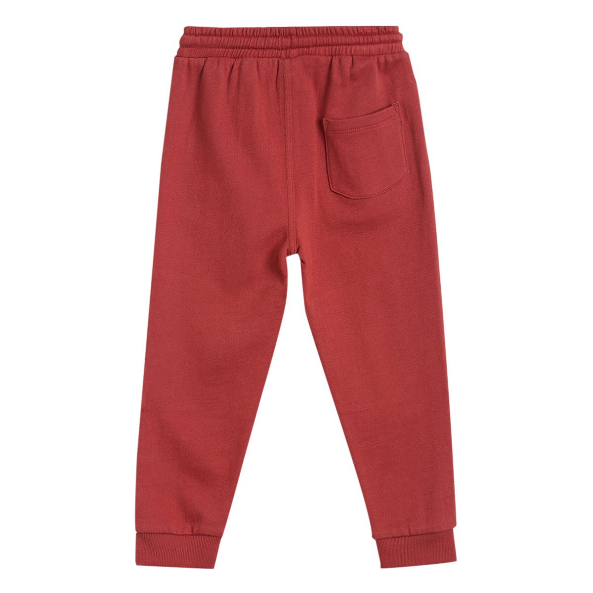 Pack of 1 knit jogger - brown for 3-6 Months