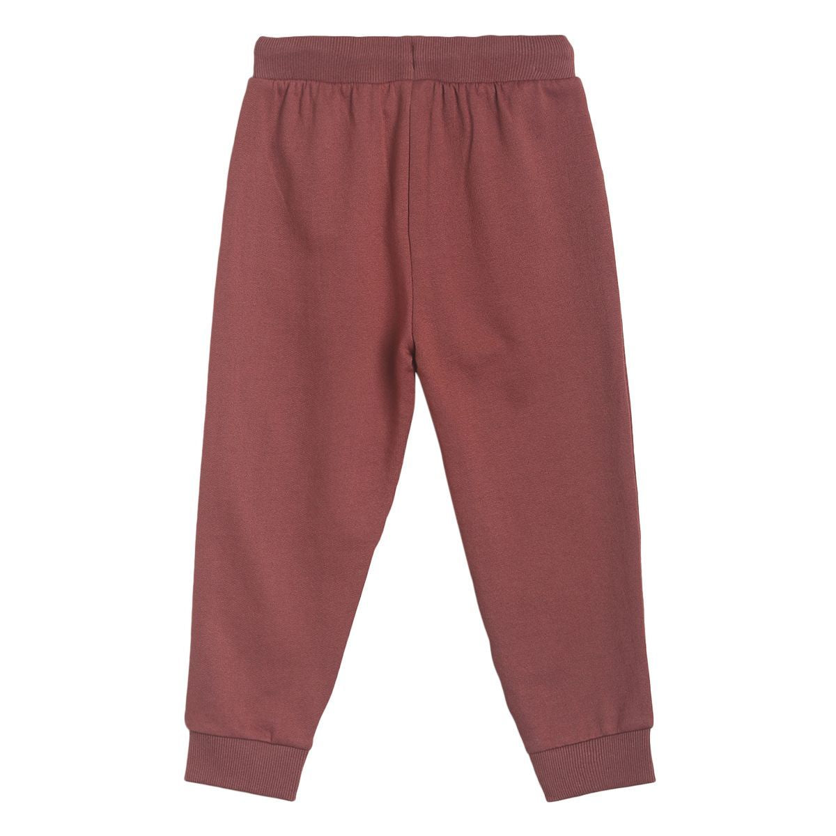 Pack of 1 knit jogger - apple butter for 3-6 Months