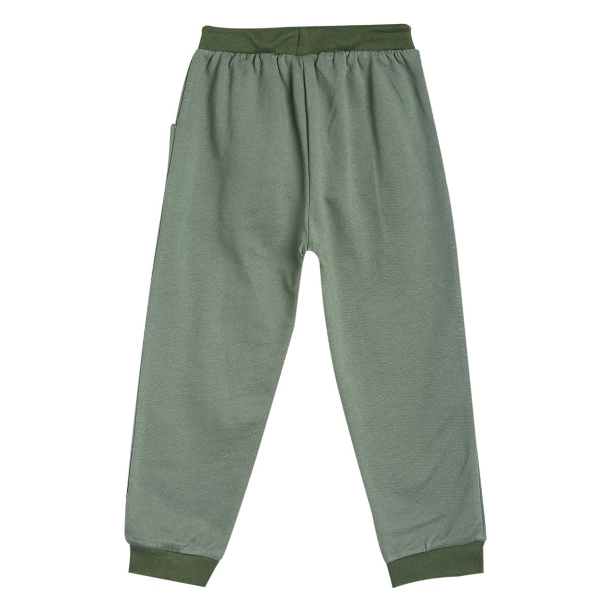 Pack of 1 knit jogger - olive for 3-6 Months
