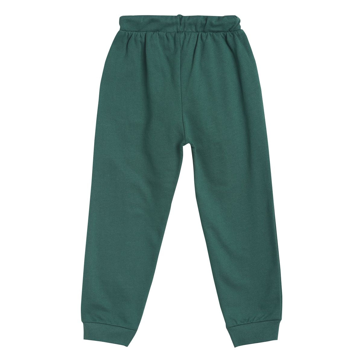 Pack of 1 knit jogger - green for 3-6 Months