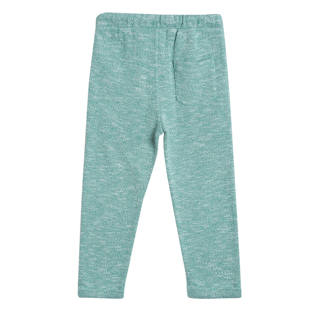 Pack of 1 knit pant - green for 3-6 Months