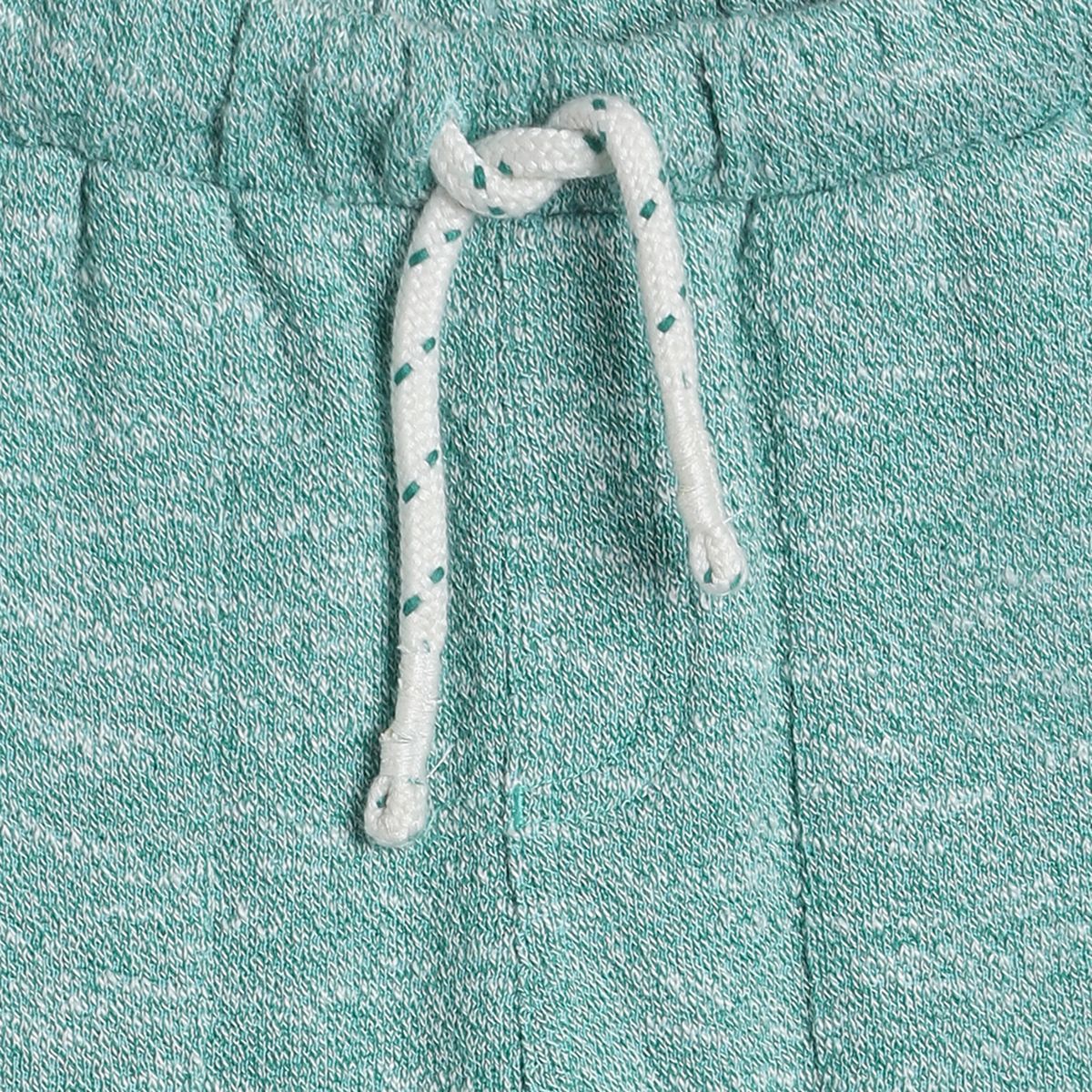 Pack of 1 knit pant - green for 3-6 Months