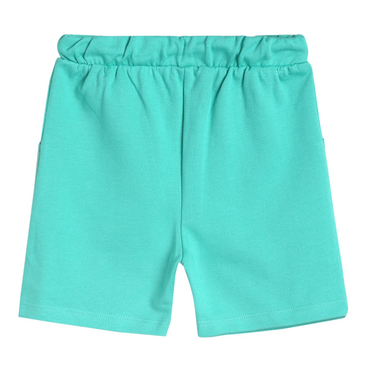 Pack of 1 knit shorts - green for 3-6 Months