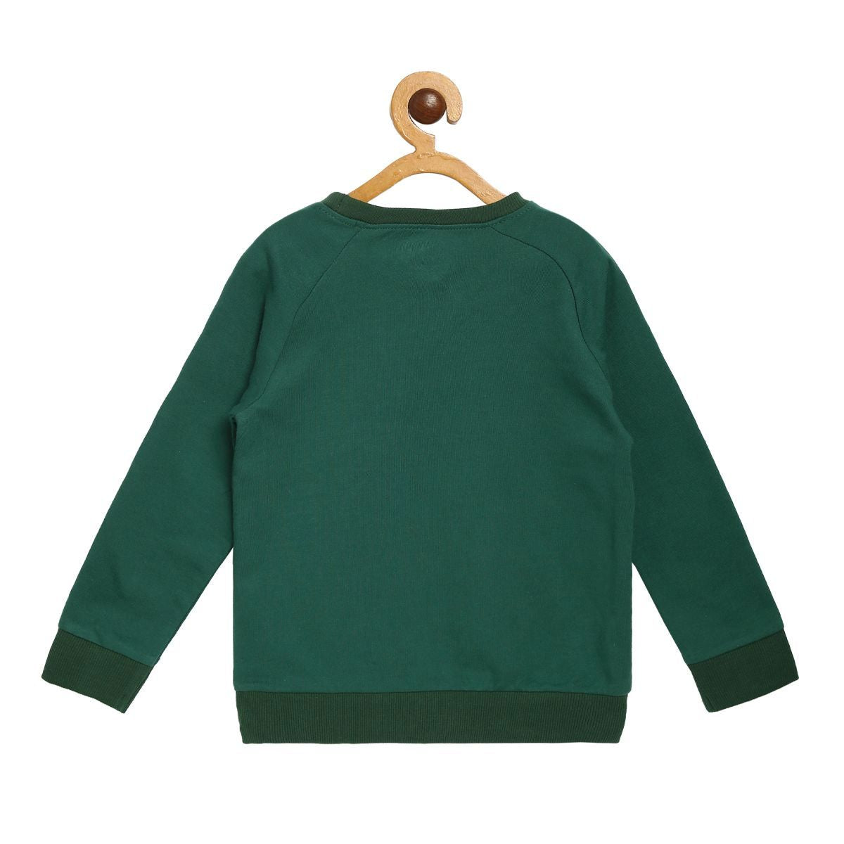 Pack of 1 knit sweat shirt - green for 3-6 Months