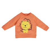 Boys Orange Pack Of 1 Sweat Shirt