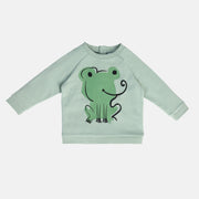 Boys Green Pack Of 1 Sweat Shirt