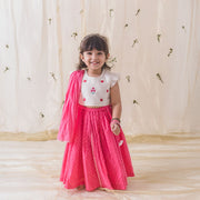 Tiber Taber Gul Lehenga Set