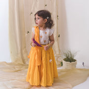 Tiber Taber Gul Lehenga Set