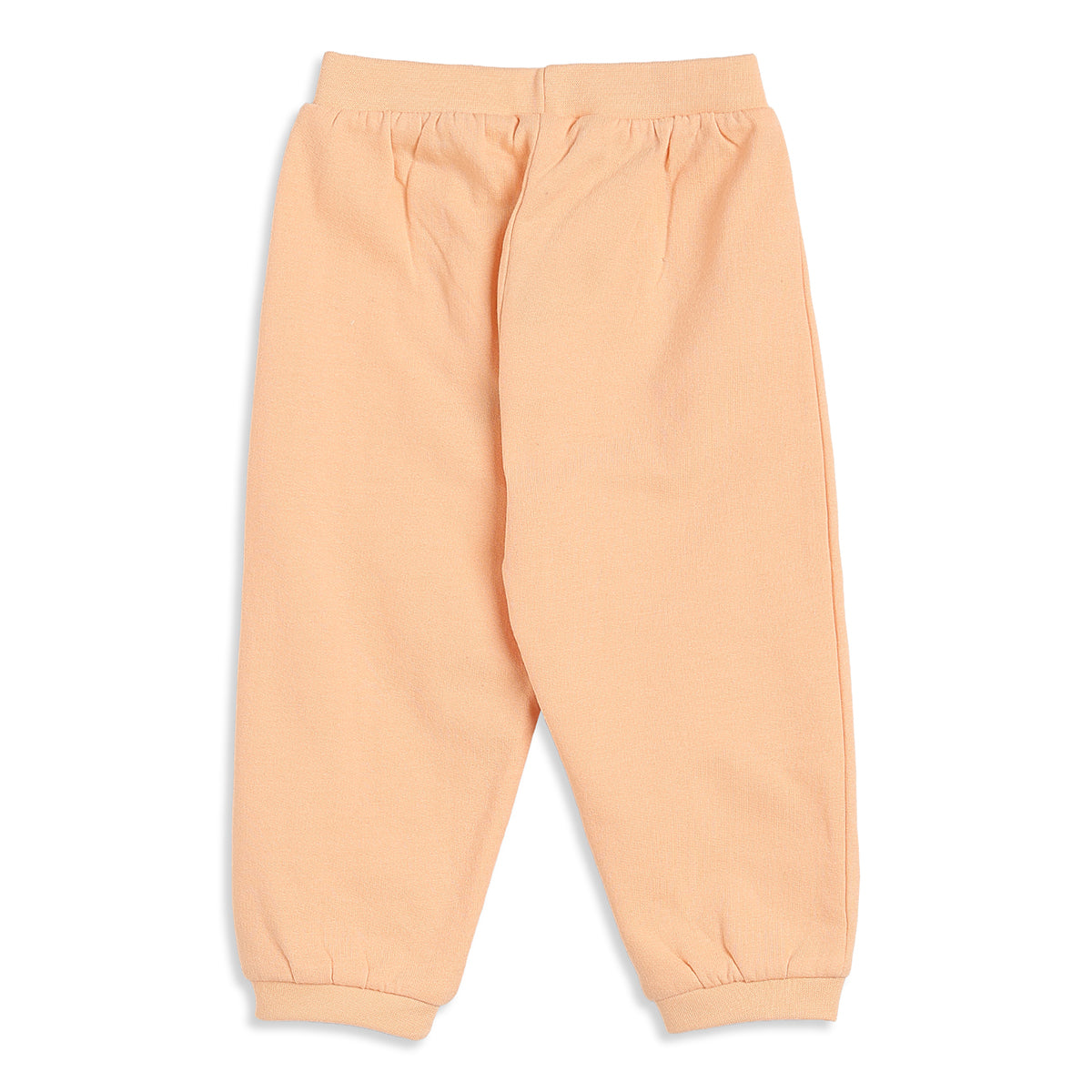 Baby Boys Mint and Peach Knit Bottoms Pack of 2 Regular Fit Casual Wear