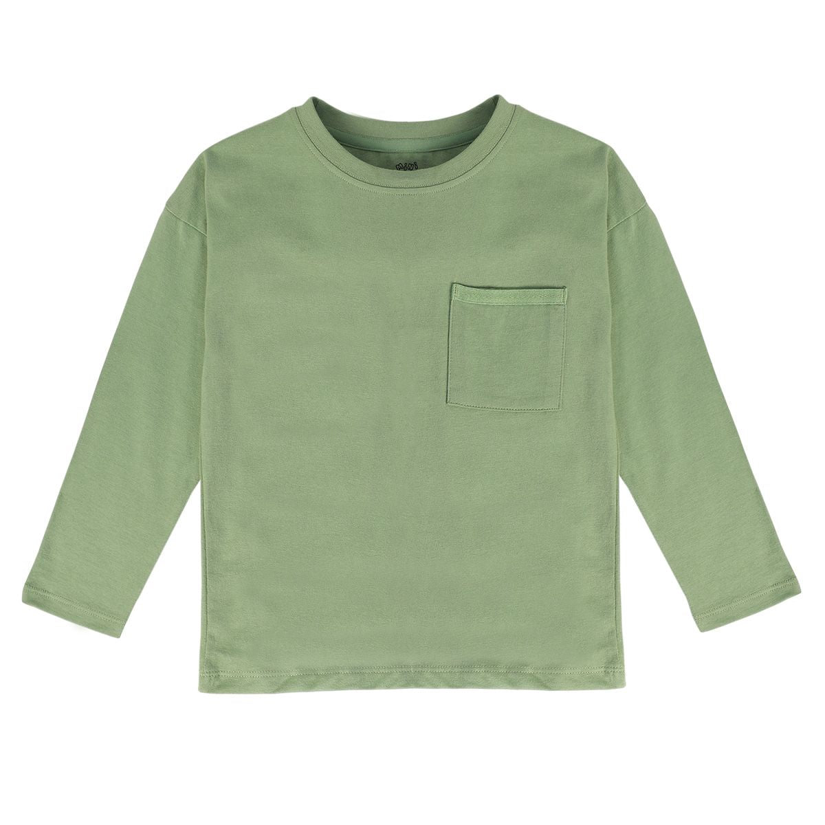 Boys Green Pack Of 1 T-Shirt