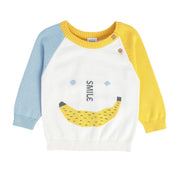 Boys Multicolor Pack Of 1 Sweater