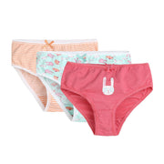 Girls Multi Panty