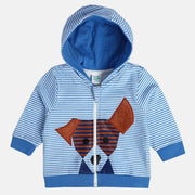 Boys Blue Hooded Full Sleeves Jacket