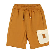 Boys Brown Pack Of 1 Shorts