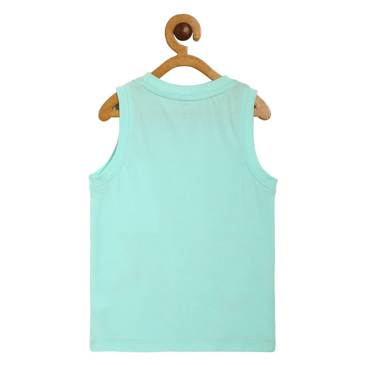 Boys Mint Pack Of 1 T-Shirt