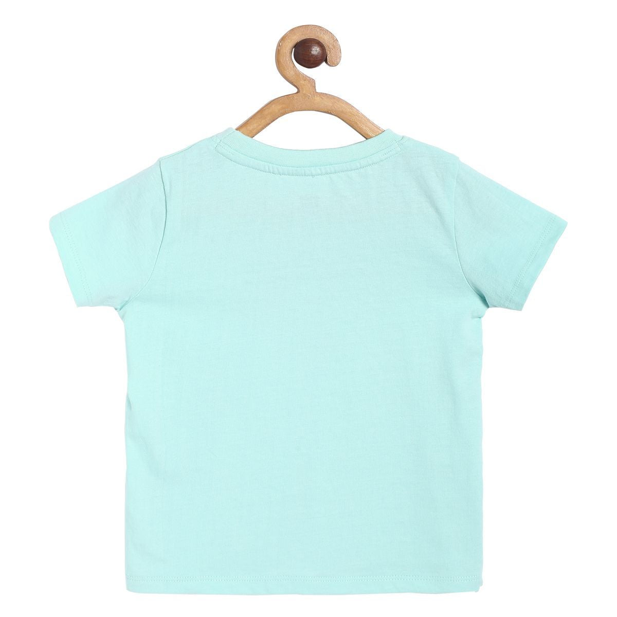 Boys Mint Pack Of 1 T-Shirt