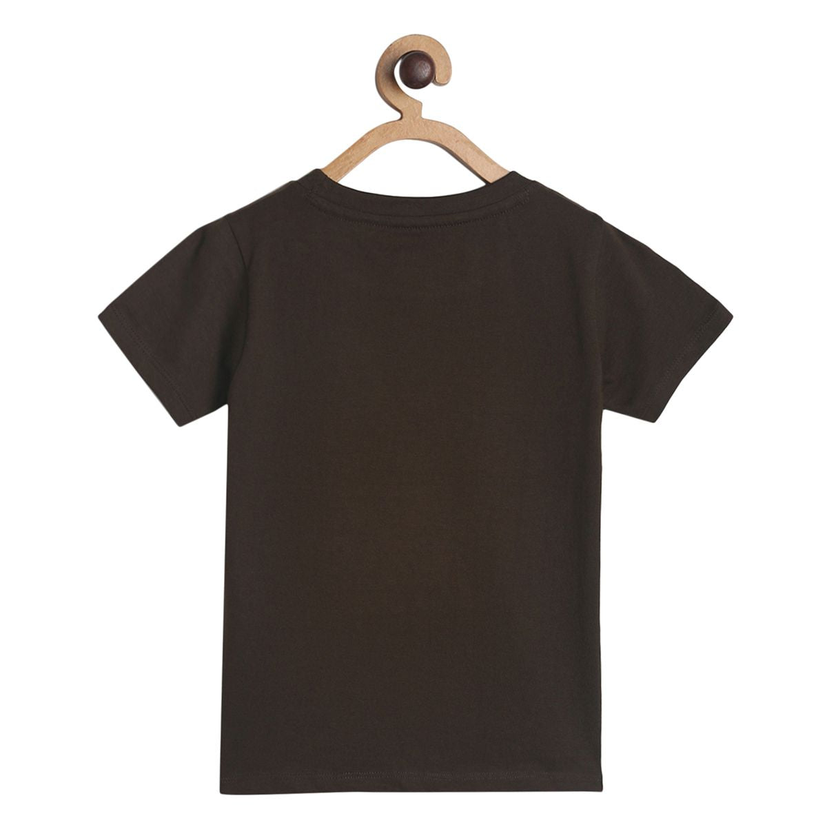 Boys Multicolor Pack Of 1 T-Shirt
