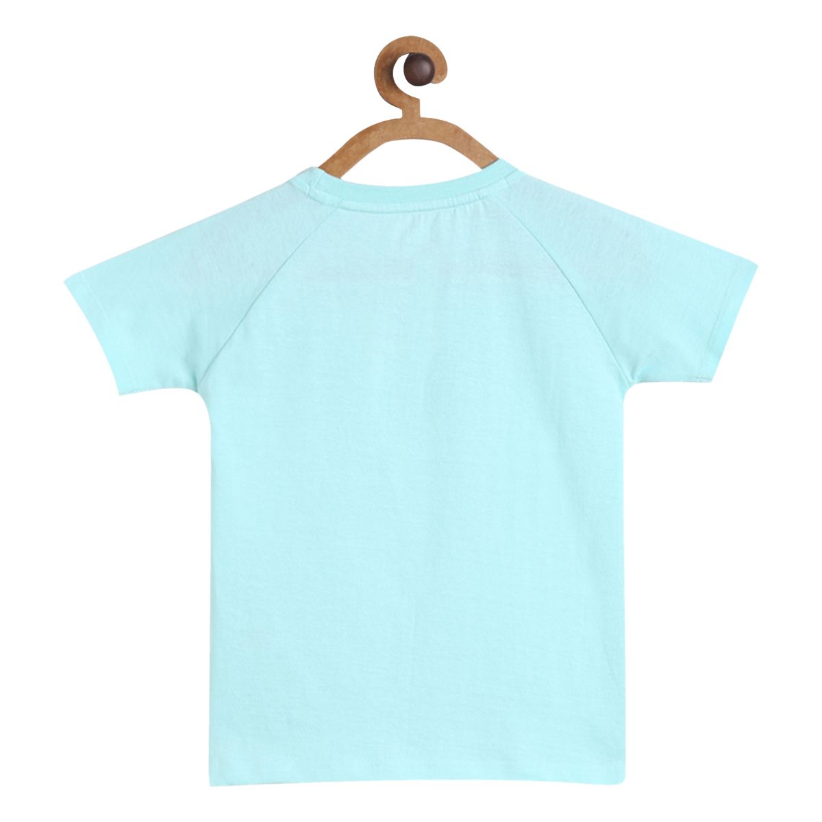 Boys Teal Pack Of 1 T-Shirt