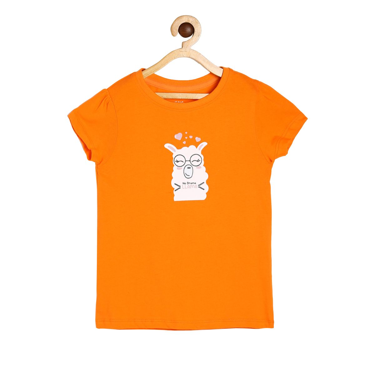 Girls Orange Pack Of 1 Knit Top