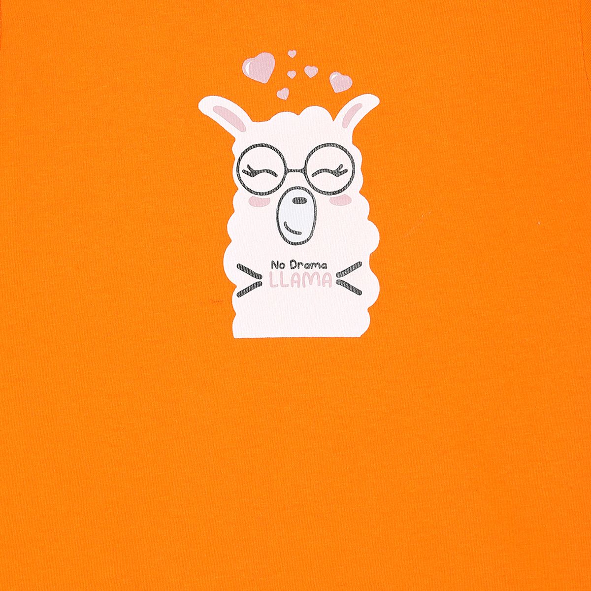 Girls Orange Pack Of 1 Knit Top