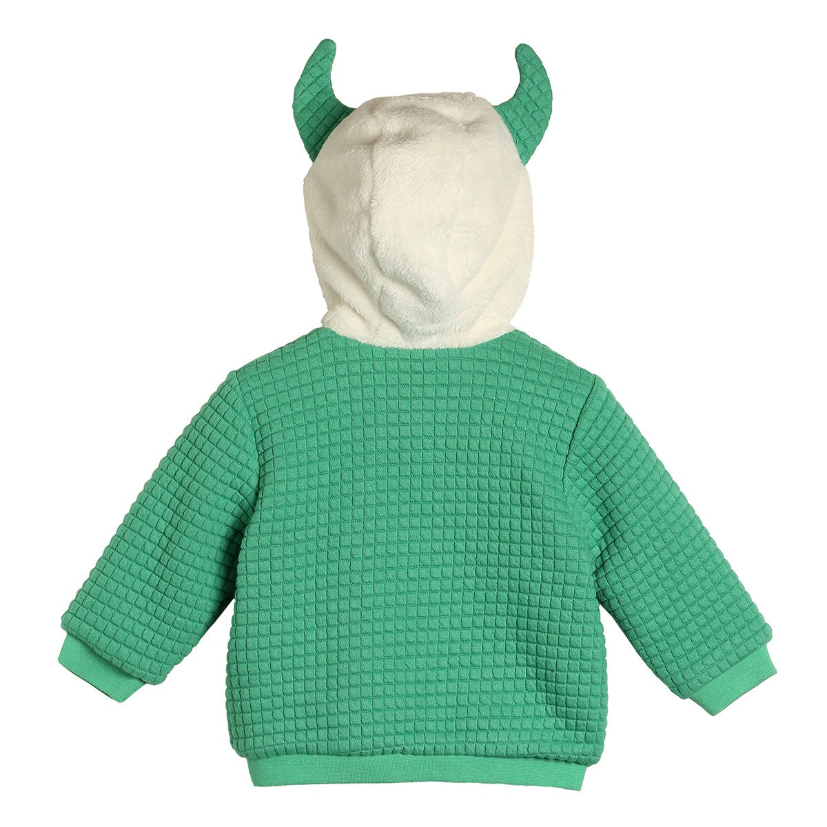 Boys Green Pack Of 1 Jacket