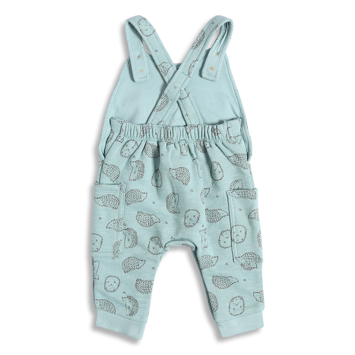 Baby Boys Mint Green and White Cotton Printed Dungaree Set Regular Fit Casual Wear