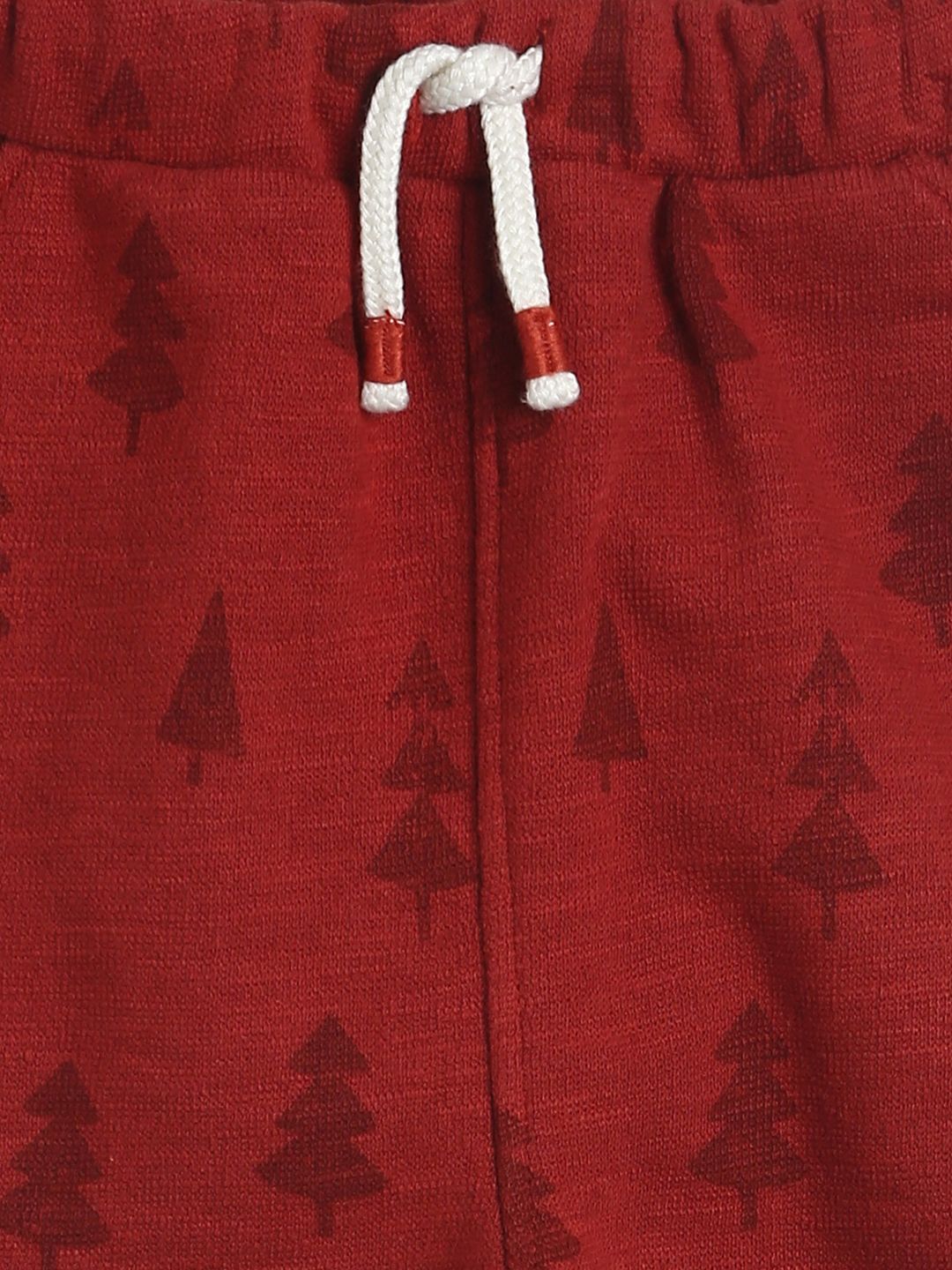 Boys Jogger - Maroon