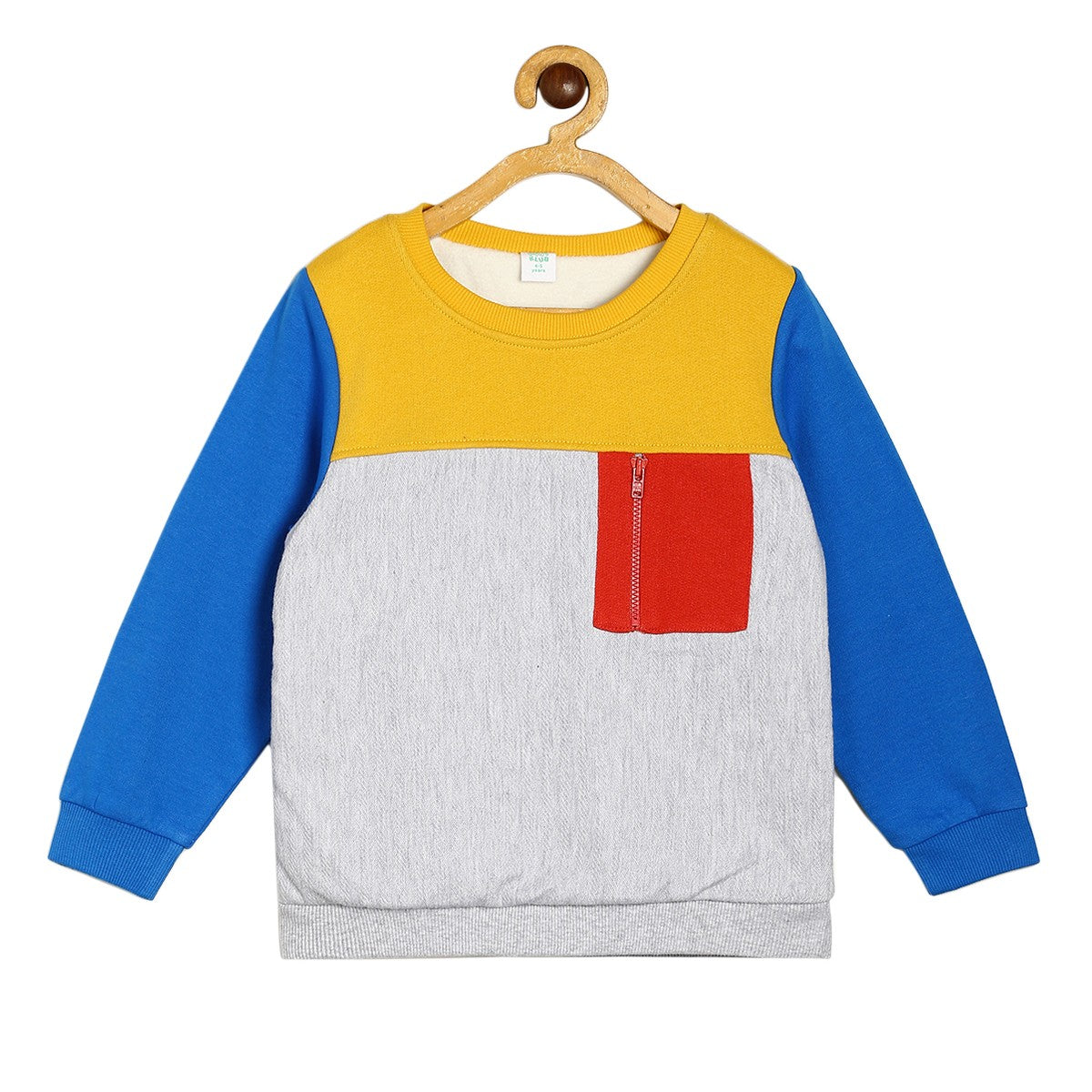 Boys Multicolor Pack Of 1 Sweat Shirt