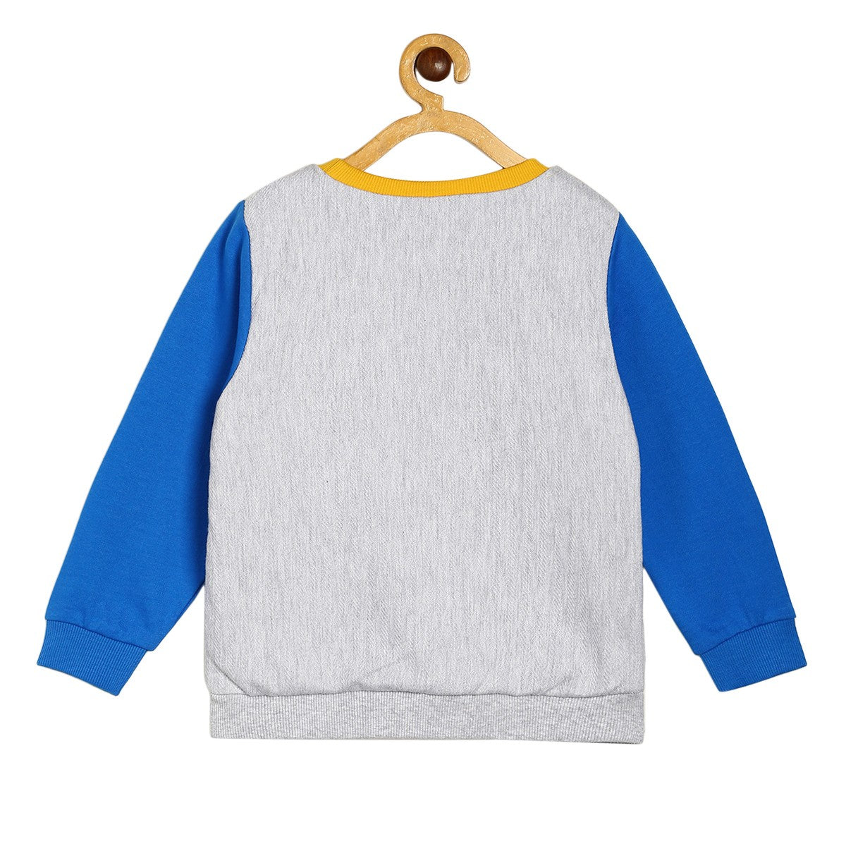Boys Multicolor Pack Of 1 Sweat Shirt
