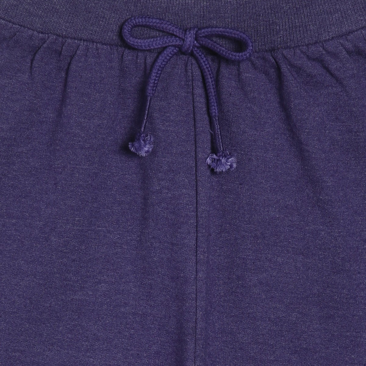 Girls Purple Pack Of 1 Jogger