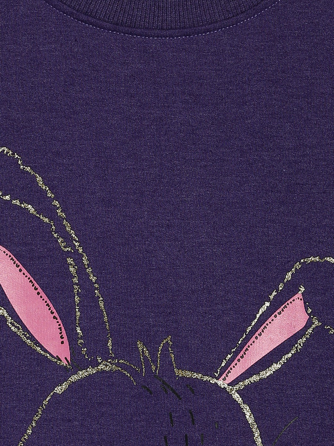 Girls Purple Pack Of 1 Sweat Shirt
