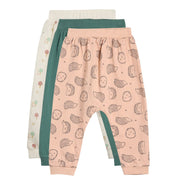 Boys Multicolor Pack Of 3 Knit Bottom