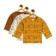 Boys Multicolor Pack Of 3 T-Shirt