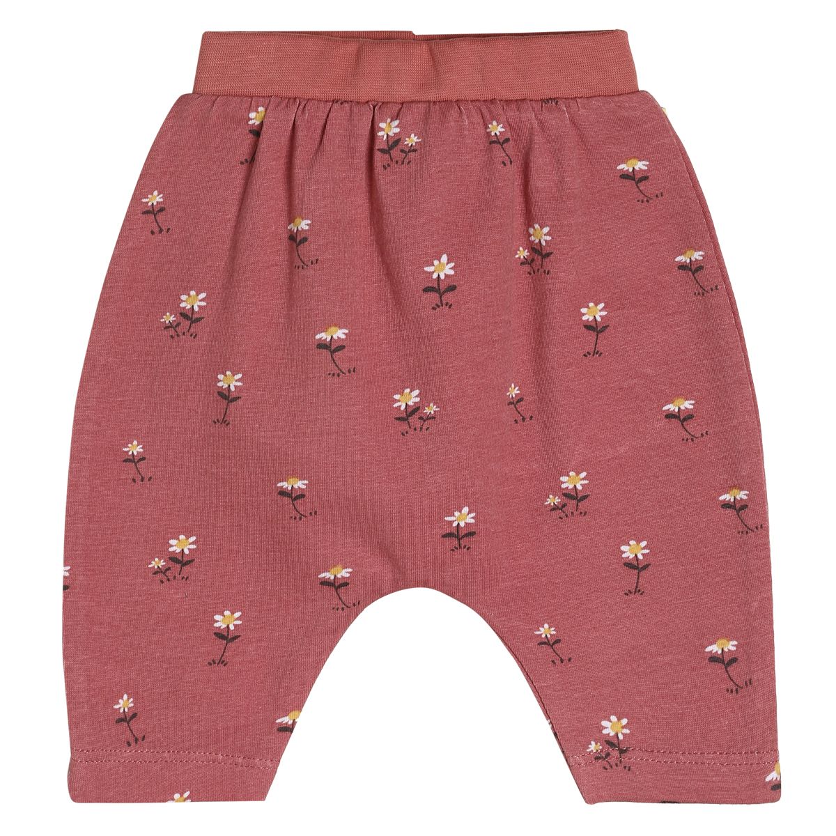 Girls Multicolor Pack Of 3 Legging