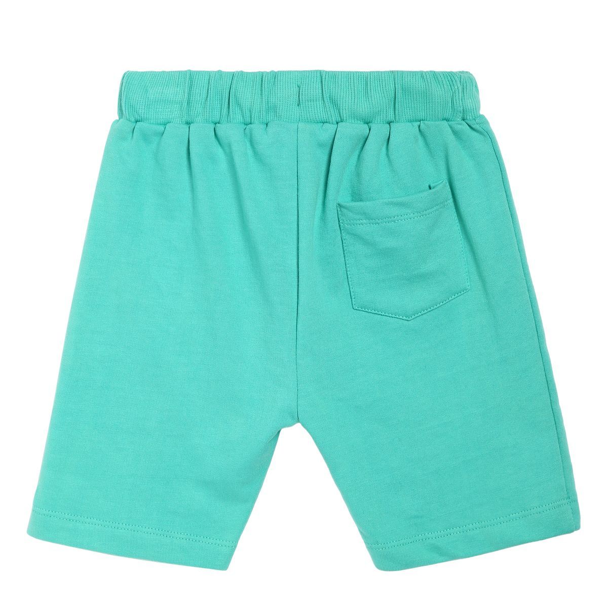 Boys Green Shorts