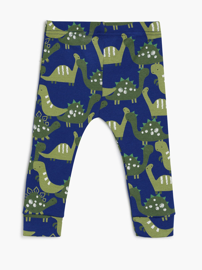 Boys Grey Dinosaur Print 2-Piece Clothing Set