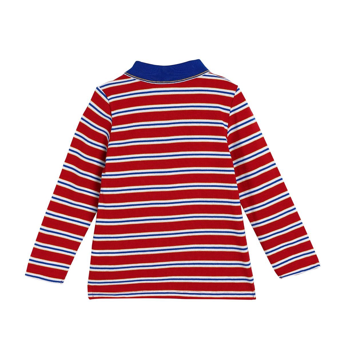 Boys Multicolor Pack Of 1 Polo
