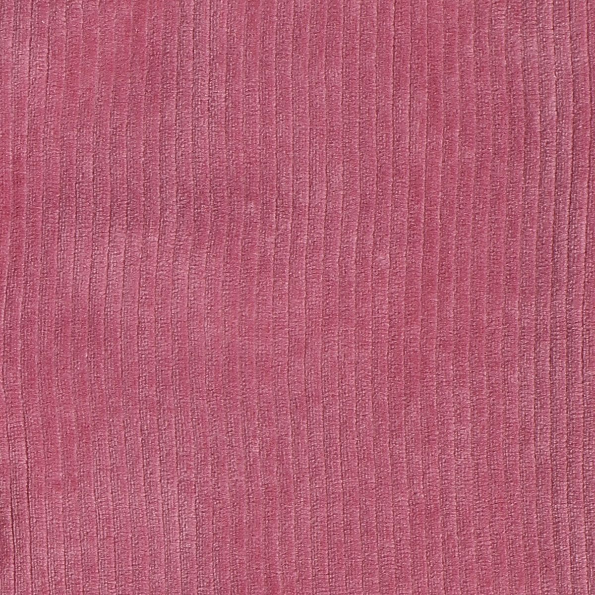 Girls Rose Pink Pack Of 1 Knit Pant