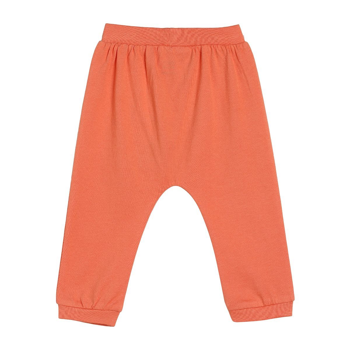 Boys Multicolor Pack Of 3 Knit Bottom