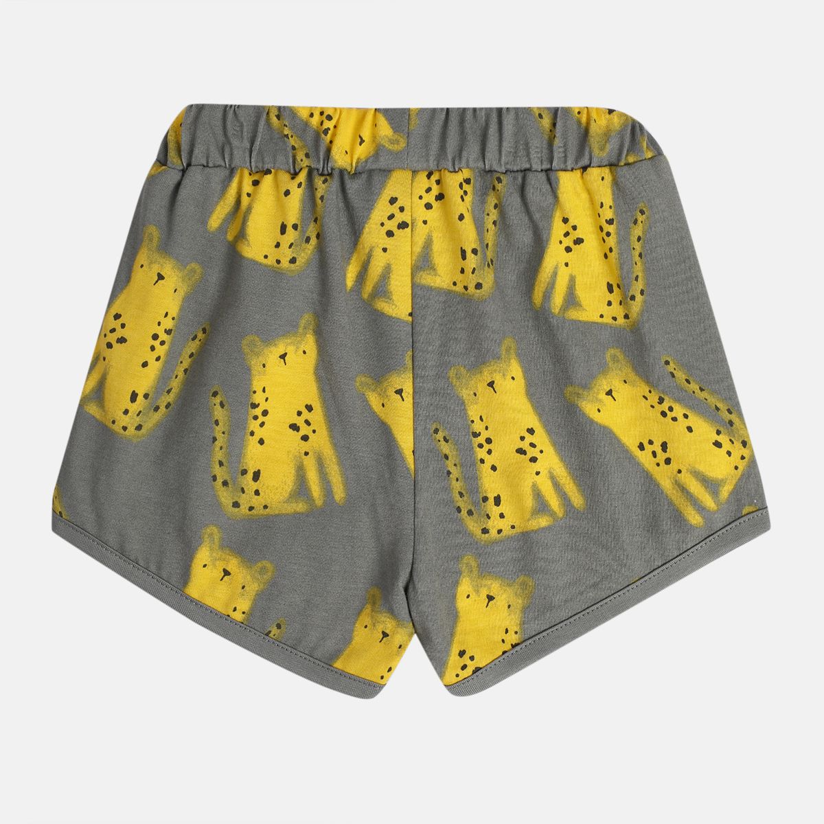 Boys Multi Shorts